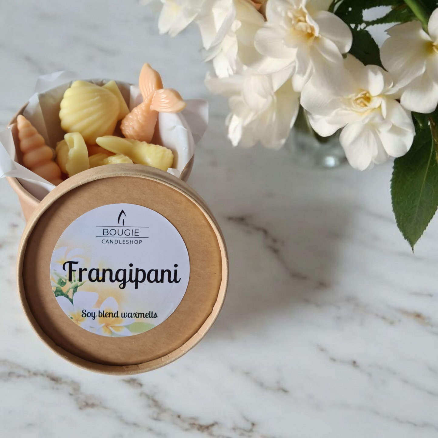 Waxmelts Frangipani