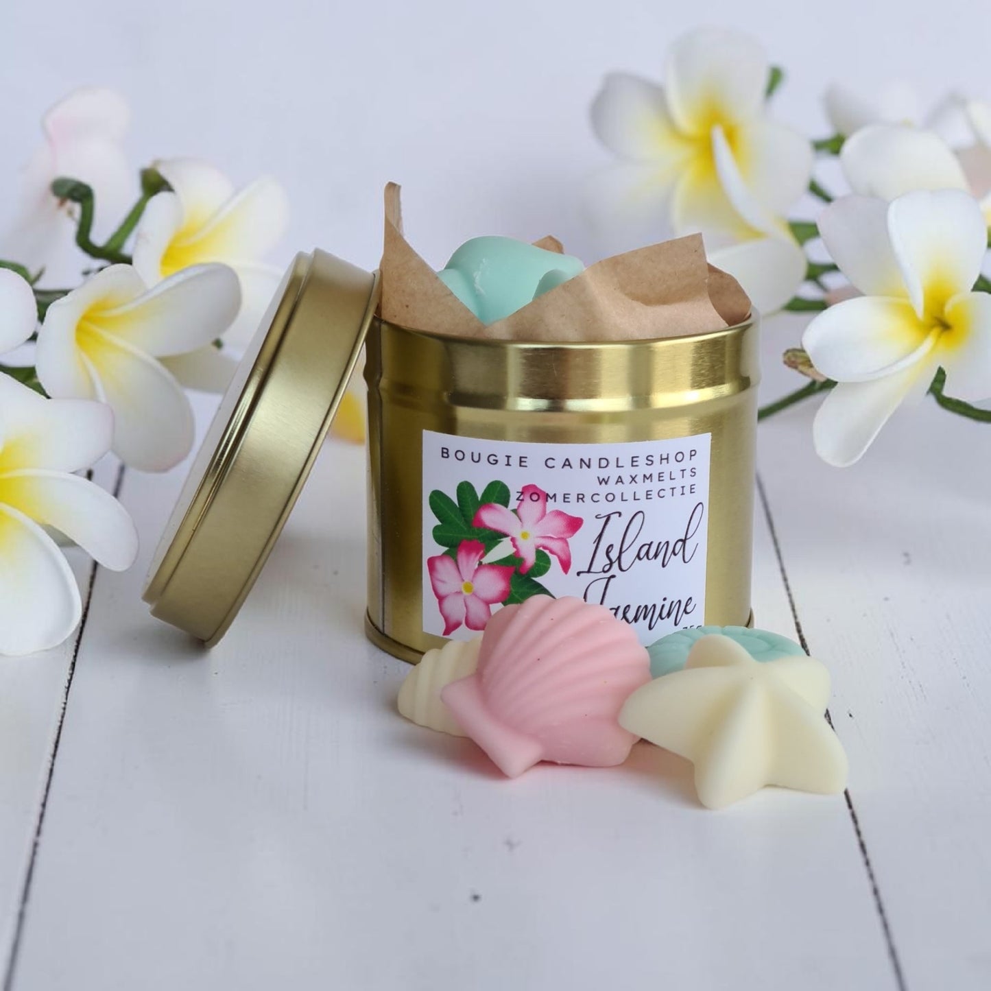 Waxmelts Island Jasmine