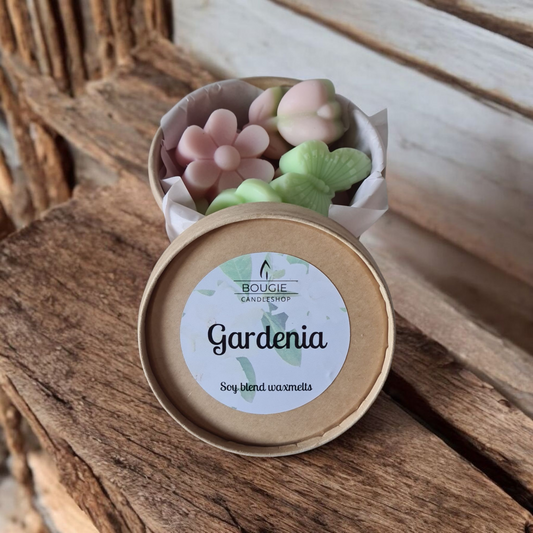 Waxmelts Gardenia