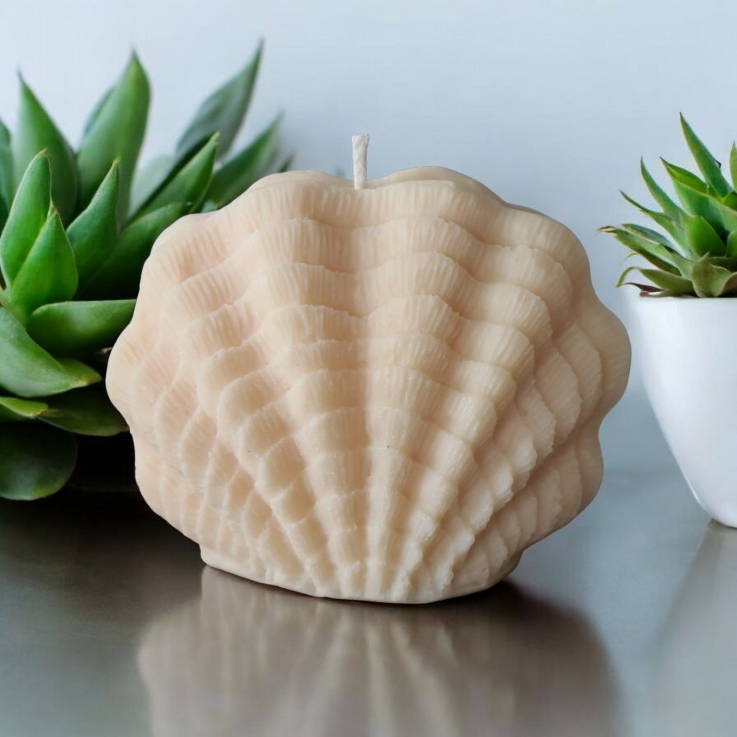 Decoratieve kaars Seashell
