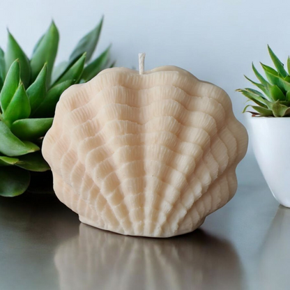 Decoratieve kaars Seashell