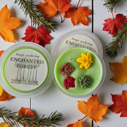 Waxmelt Enchanted Forest