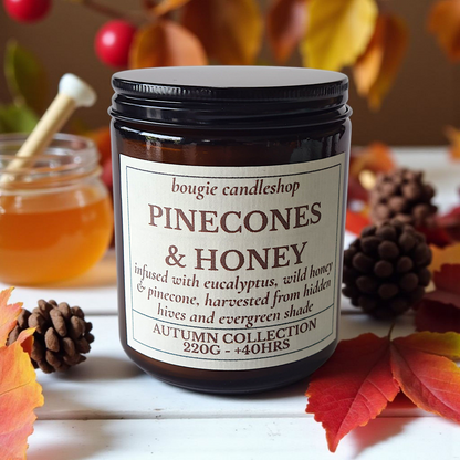Geurkaars Pinecones & Honey