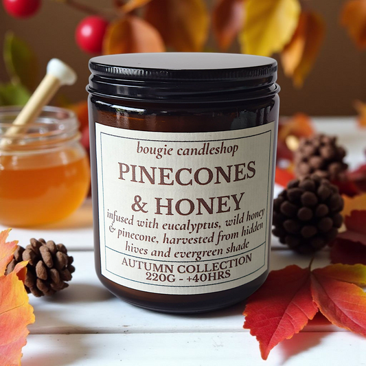 Geurkaars Pinecones & Honey