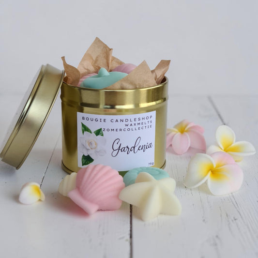 Waxmelts Gardenia