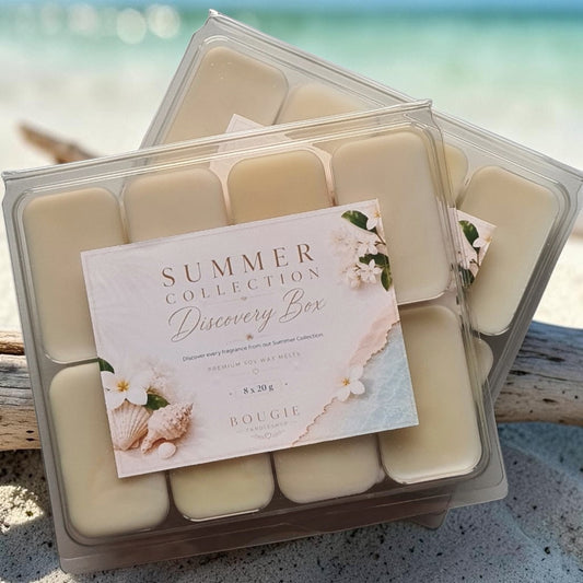 Discovery box Summer